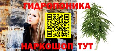 МДПВ Пенза