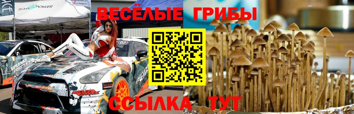 Удомля  Галлюциногенные грибы MAGIC MUSHROOMS  где купить наркоту  Вход с VPN 